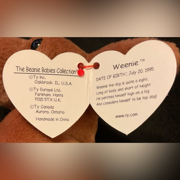 Ty Weenie beanie baby 🐕 dog - Picture 6 of 8